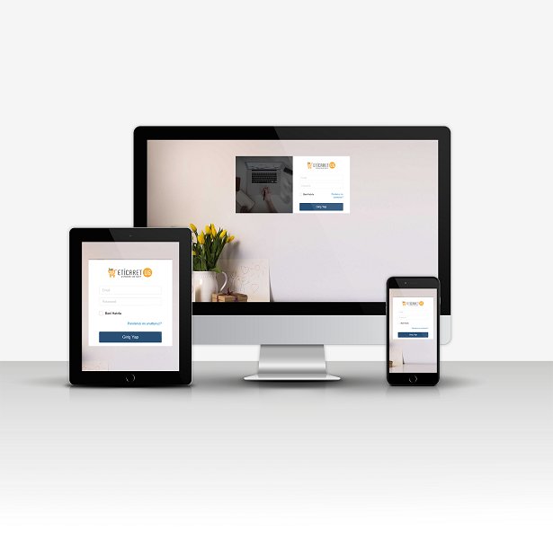 Profesyonel E-Ticaret V6